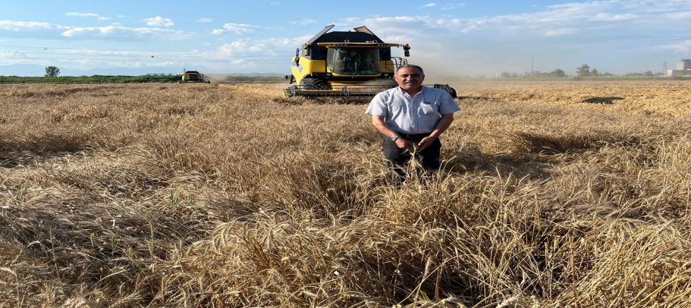 Çukurova’da Hasat Kapıda, Çiftçi Tetikte Buğdayda Belirsizlik Bitsin