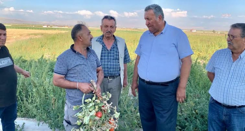 GÜRER: “ÜRETİCİ-ÇİFTÇİ BORCUNU ÖDEYEMEYİNCE İCRA KAPIDA”