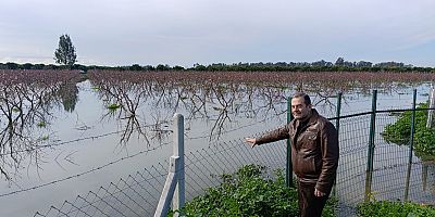 ÇUKUROVA TARIMI 2026’DA AŞIRI YAĞIŞLARIN BASKISI ALTINDA