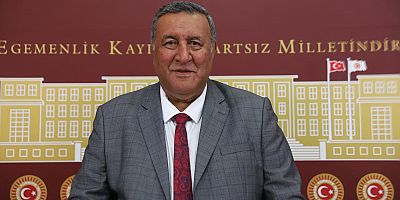 Gürer: “Hububatta 2 Yılda 8 Milyon Ton Kayıp”