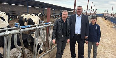 Gürer: “Üretici Ayakta Kalma Mücadelesi Veriyor”