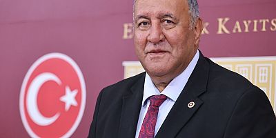 KUDUZDAN 3 FARKLI İL, 3 BÜYÜKBAŞ HAYVAN ÖLÜMÜ